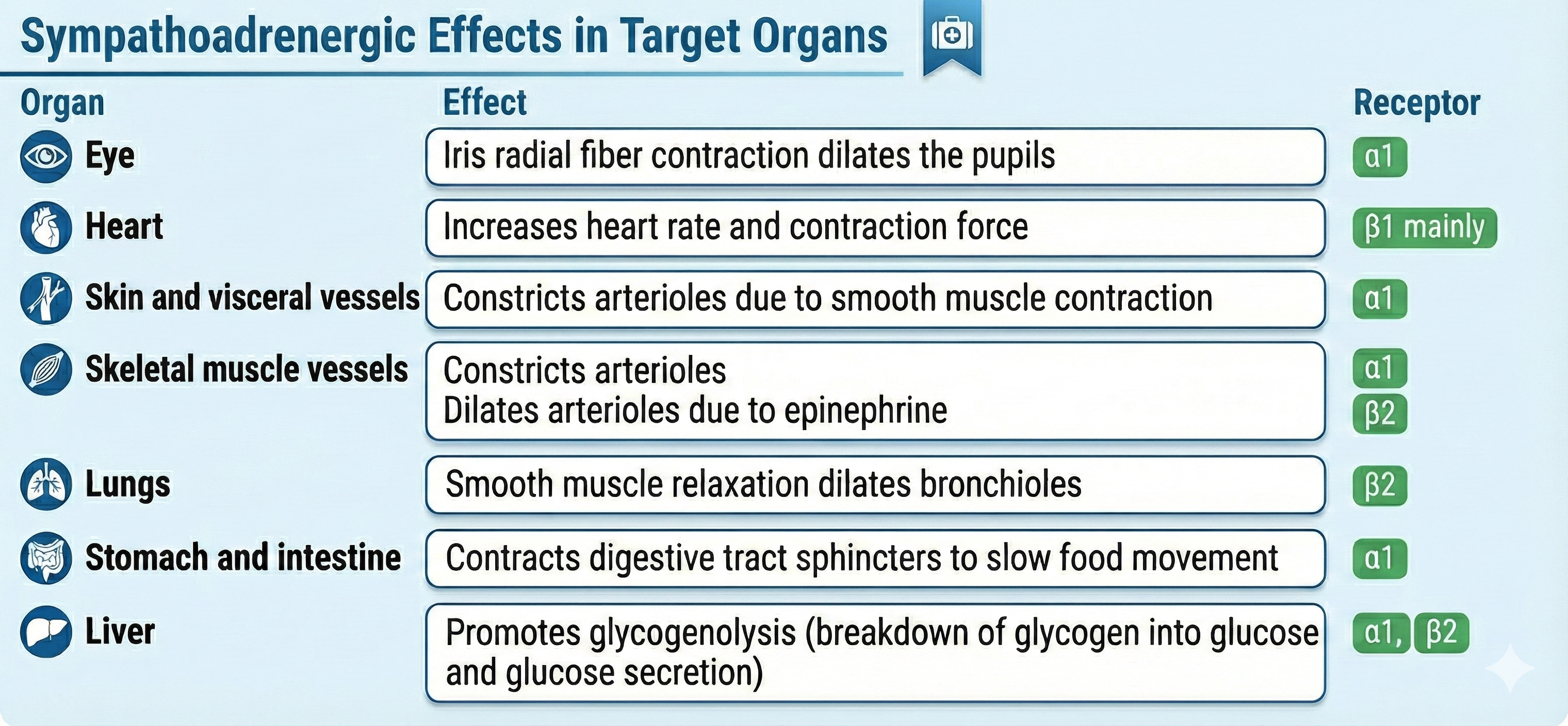 Adrenergic effects table